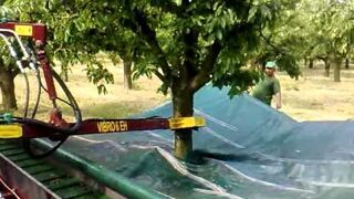 Maszyna do zbierania wiśni