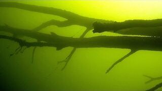 Głębokie nurkowanie bez butli