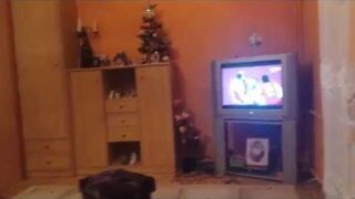 Reakcja kibica na mecz Polska - Qatar Piłka Ręczna!