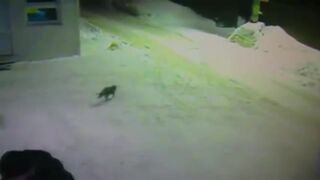 Przepraszam, a koledzy to którędy pobiegli?