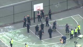 Wlazł do kosza! Dosłownie