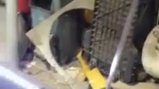 Twój mąż zaczął chętniej wynosić śmieci? Zobacz dlaczego!