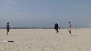 PSIkus na plaży