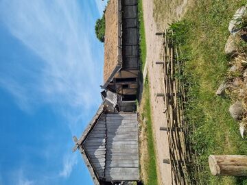 Zdjęcie: 4125